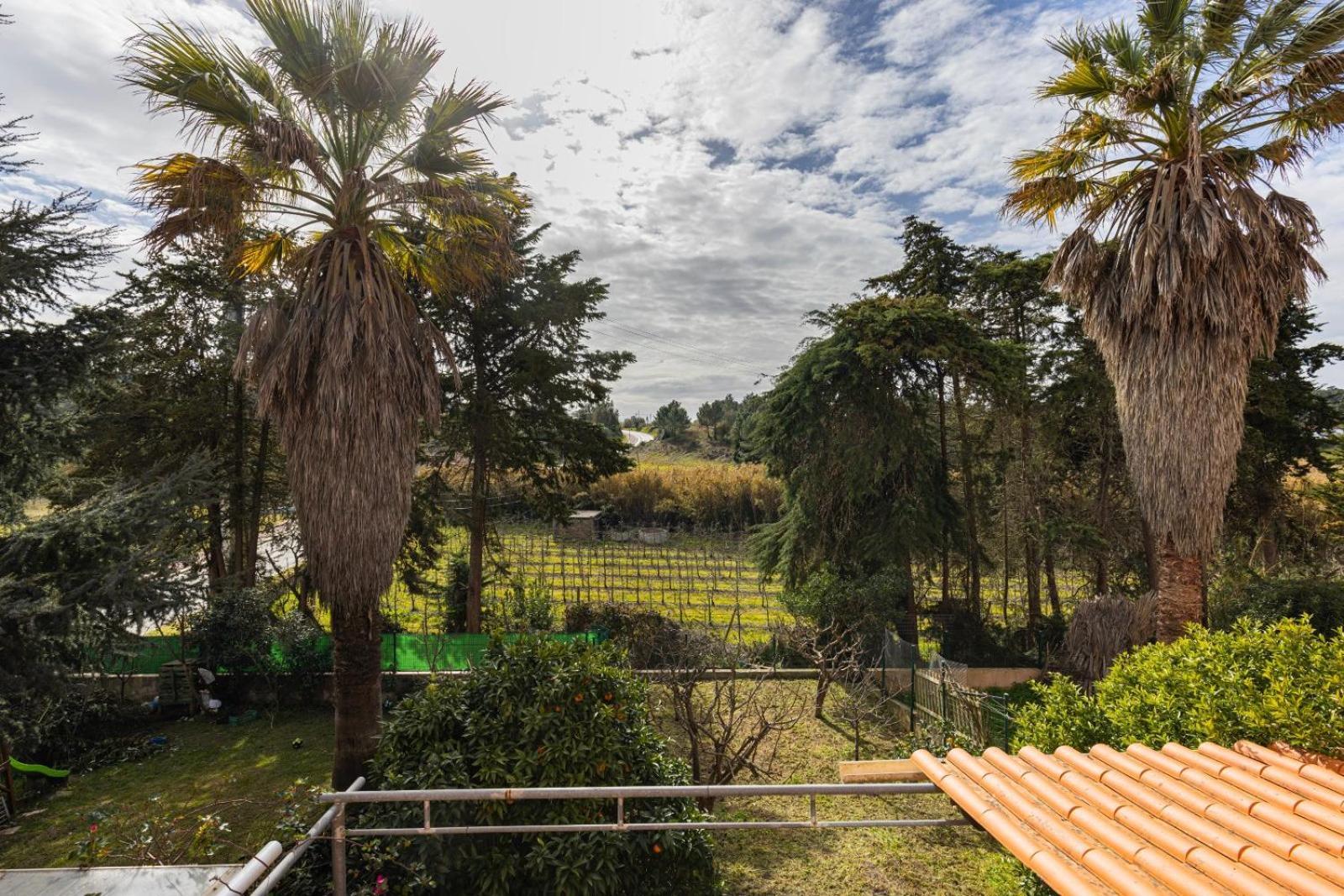 Hidden Garden Near The Castle Villa Obidos Exterior photo